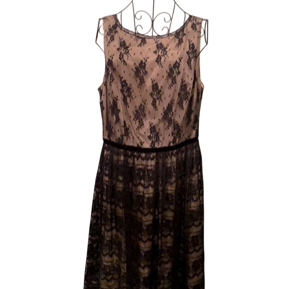 Mica Fit and flare Lace cocktail dress Black size 8